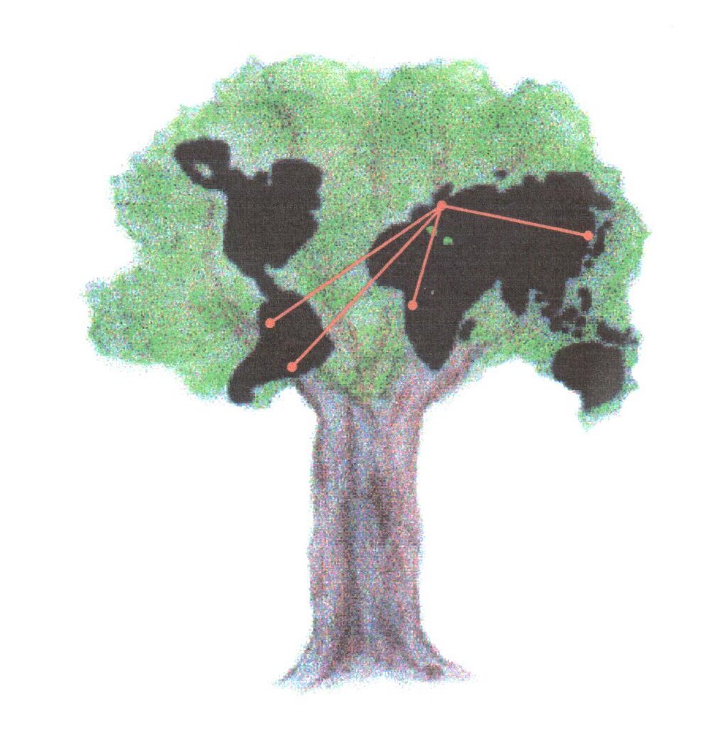 Baum Weltkarte